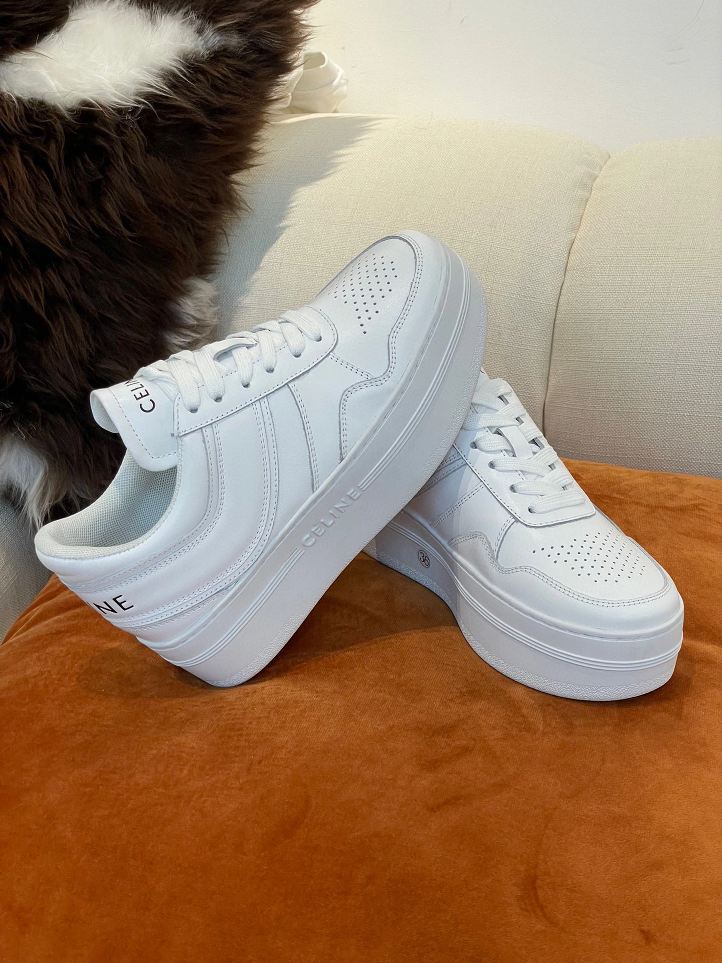 coco- 22c 346163338C.01OP item:B-X602J1726